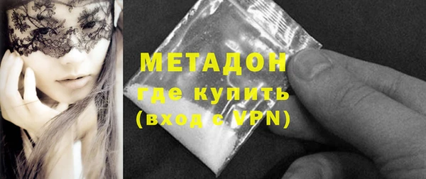 прущие грибы Заводоуковск