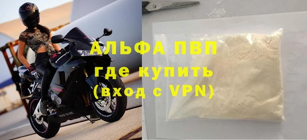 прущие грибы Заводоуковск
