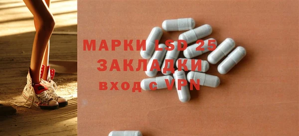 прущие грибы Заводоуковск