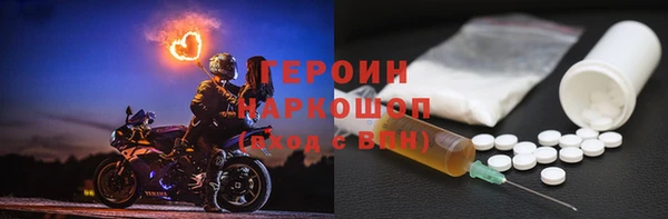 прущие грибы Заводоуковск