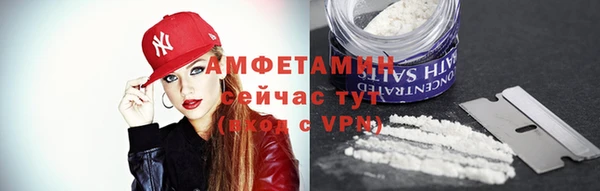 прущие грибы Заводоуковск