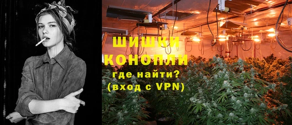 прущие грибы Заводоуковск