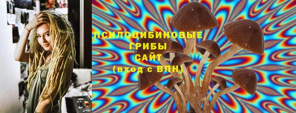 прущие грибы Заводоуковск