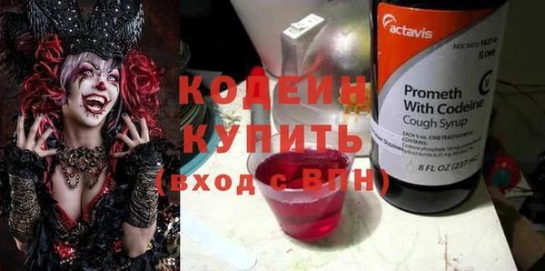 прущие грибы Заводоуковск