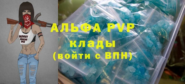 прущие грибы Заводоуковск