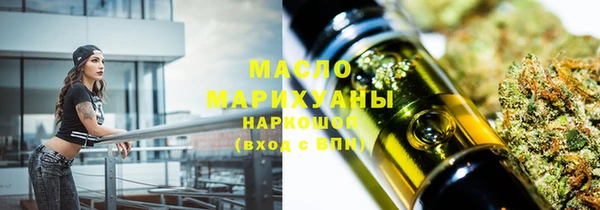 прущие грибы Заводоуковск