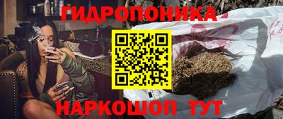 СК Гусь-Хрустальный