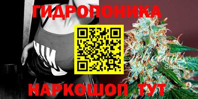 шишки Гусиноозёрск