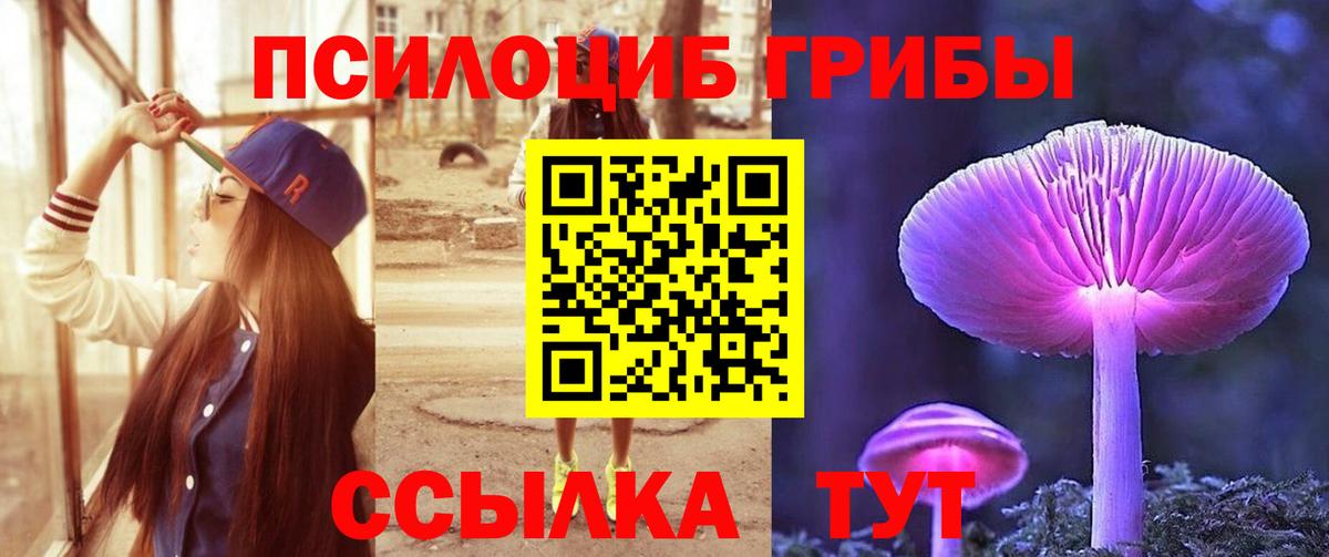 МЕФ Избербаш